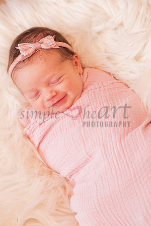 westfiled-indiana-family-photographer-1