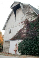 DSC_8901-Edit.jpg