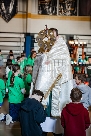 DSC_3528.jpg