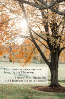 850_7555-Edit
