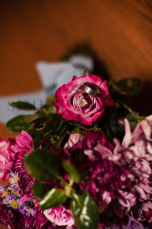 850_9375.jpg
