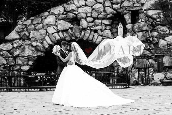 850_1392.jpg